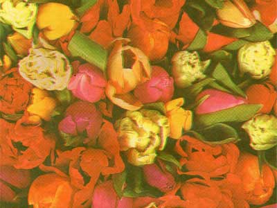 Blumenseiden